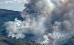 Incendi in Spagna e Francia