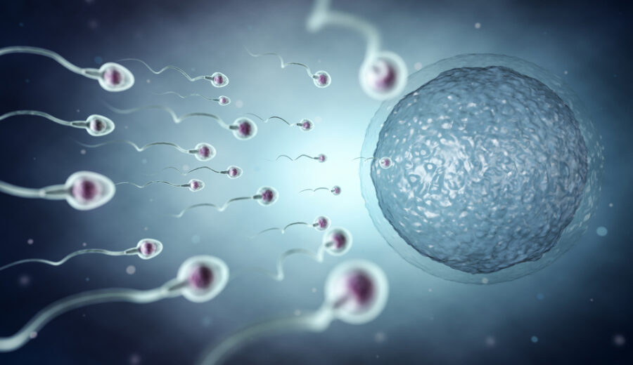 Impatto dell'inquinamento sulla fertilità maschile