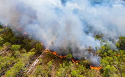 Incendi boschivi in Italia