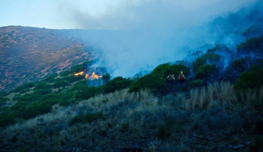 Interventi dei Vigili del Fuoco a Palermo per incendi