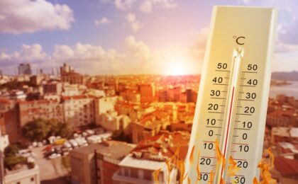 Riforestazione urbana per ridurre il caldo