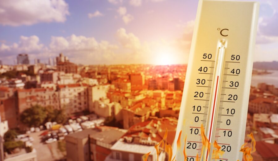 Riforestazione urbana per ridurre il caldo