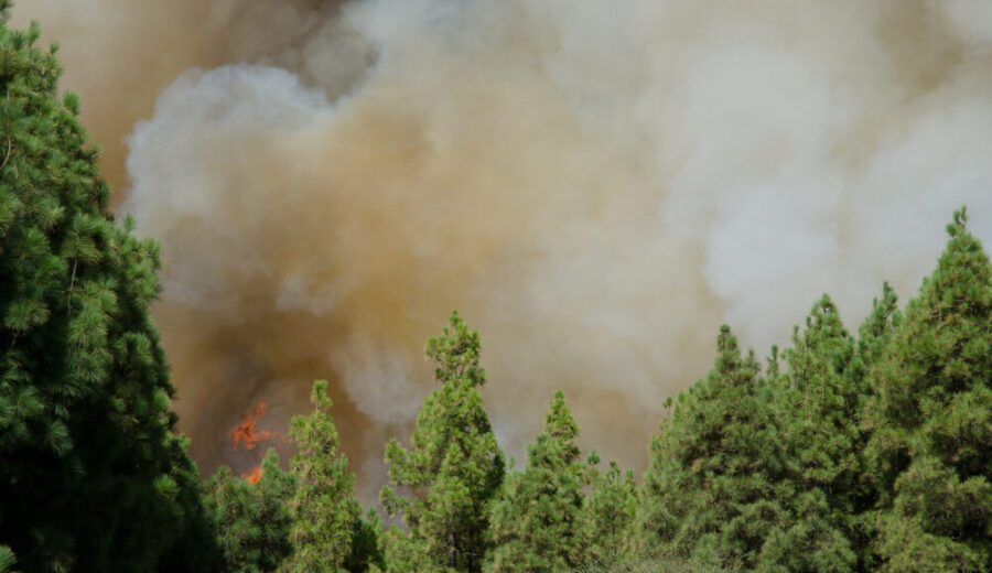Incendi in Gironda