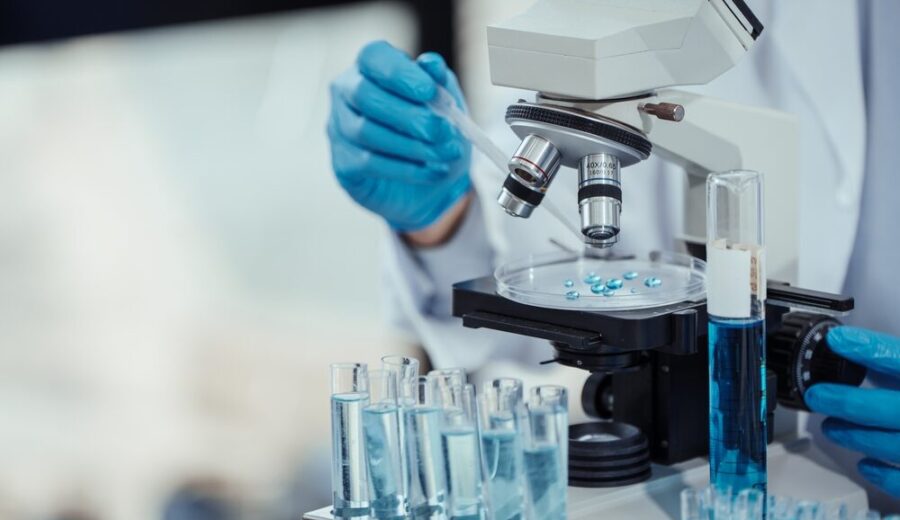 Modelli cellulari per la ricerca sul cancro